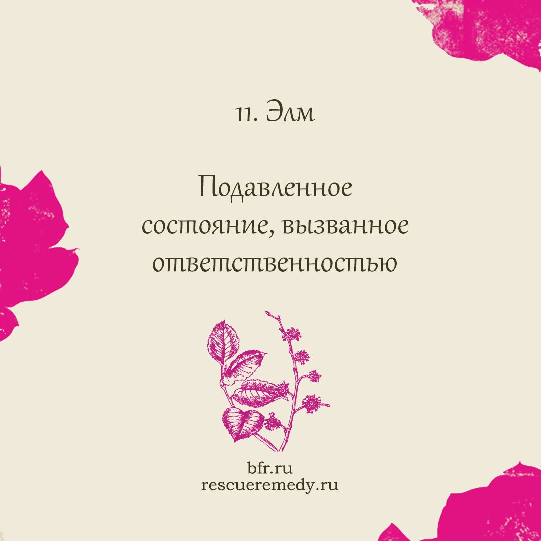 Bach remedy — ЦВЕТЫ БАХА