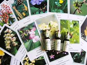 Растительные лекарственные средства