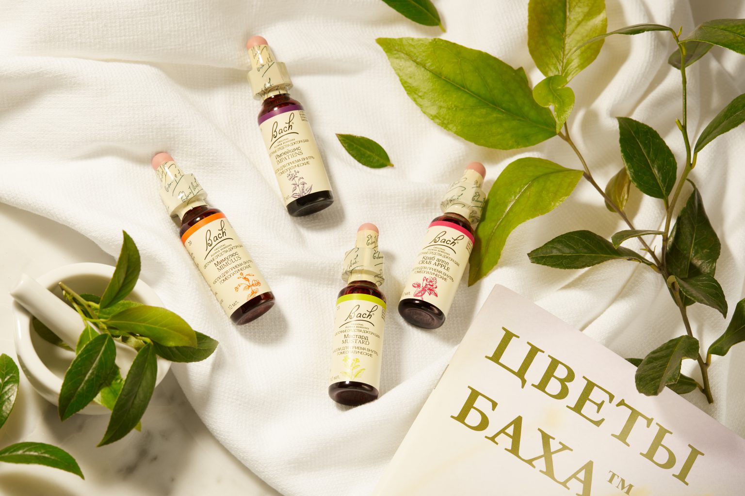 ЦВЕТЫ БАХА — BFR.RU